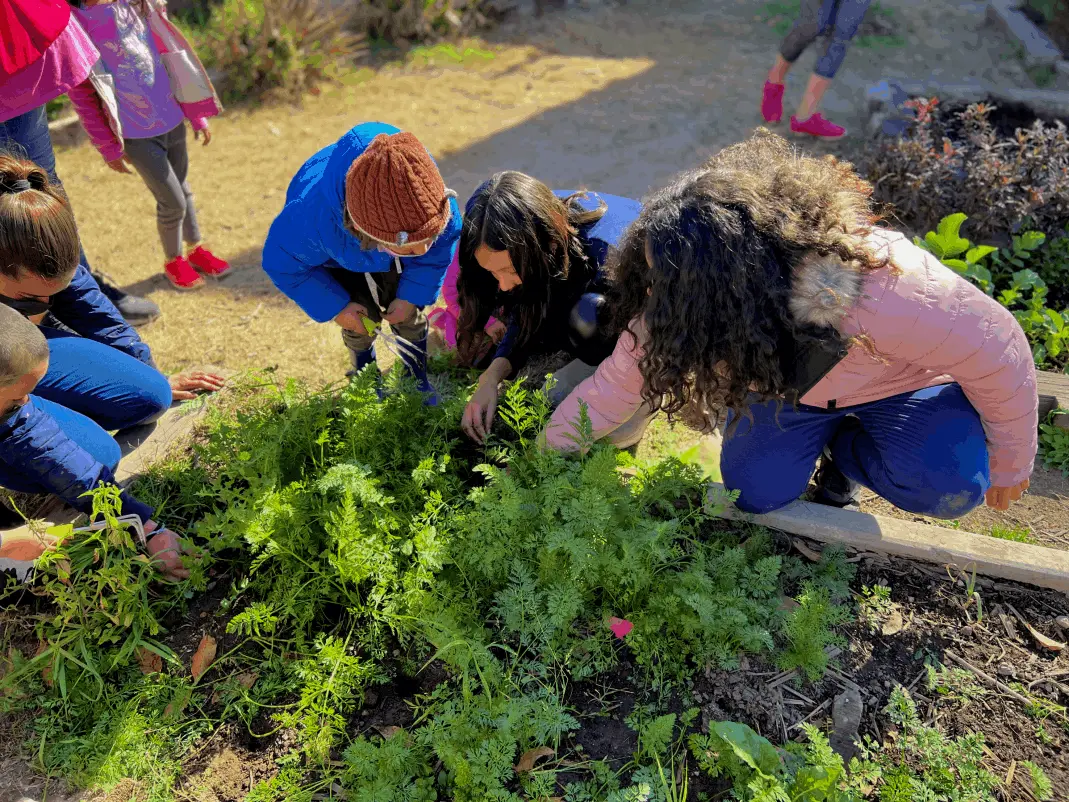 Comunidad Educativa Amara-Ayoc